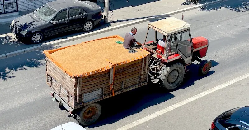 Fotografija uz vijest: Galetin: Očekujemo dobre poljoprivredne prinose ove godine, pšenica izgleda sasvim dobro