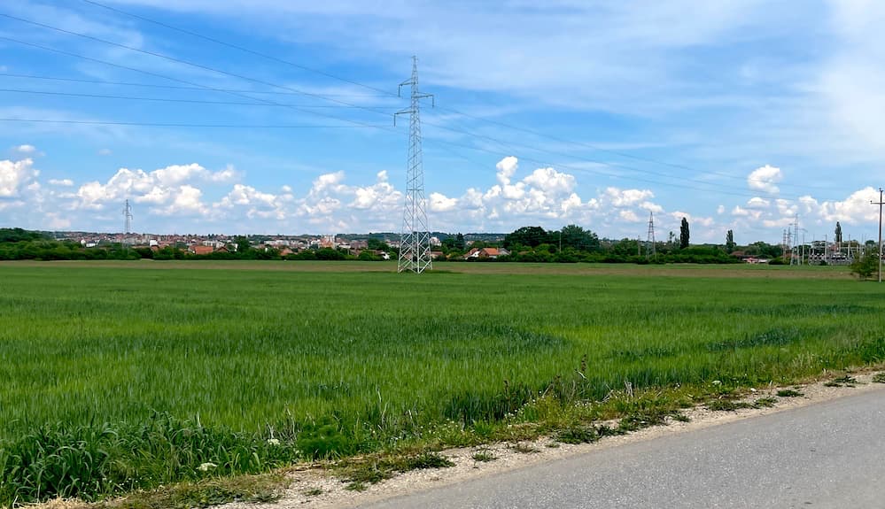 Fotografija uz vijest: Kiša dobrodošla pšenici i kukuruzu: Pad temperature i padavine povoljno uticali na useve