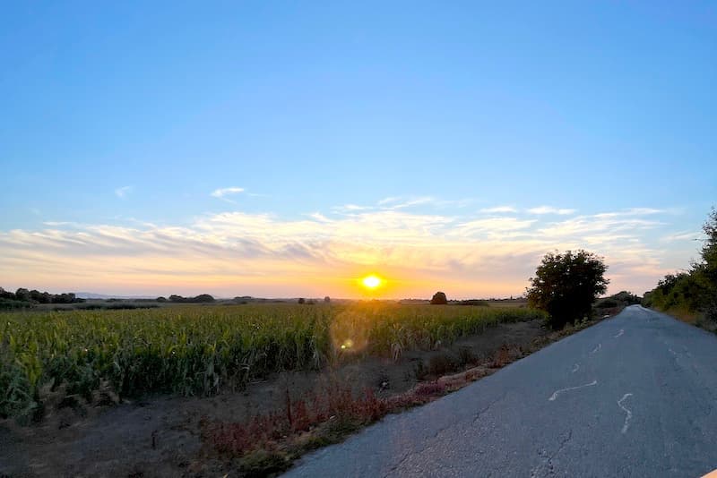 Fotografija uz vijest: Pakao tek počinje: Temperatura ide do 40 stepeni, slede opasni dani