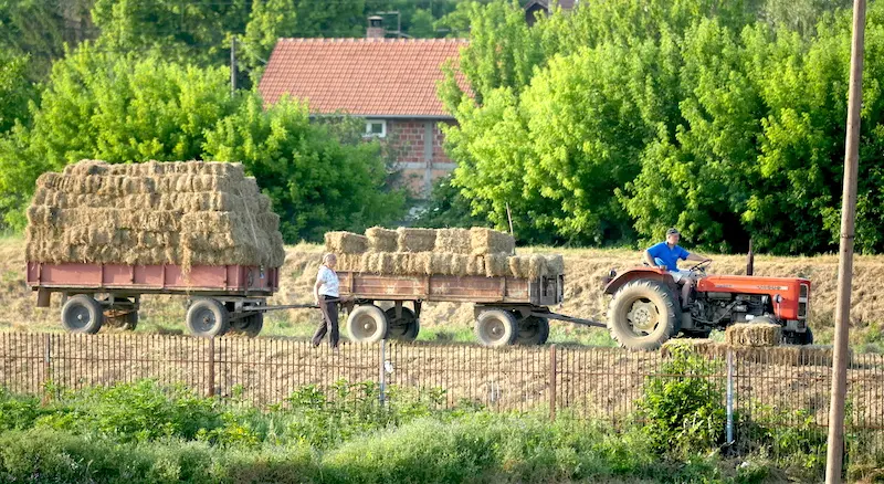 Fotografija uz vijest: Poljoprivreda Srbije beleži rast, ali postoje i nerealna očekivanja