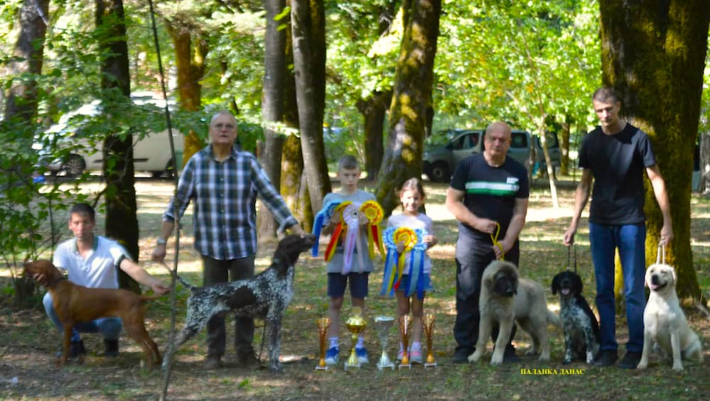 Fotografija uz vijest: Uspeh Kinološkog društva „Palanka“ na izložbama u Cetinju