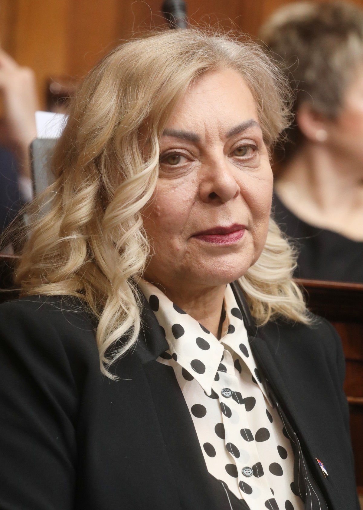 Fotografija uz vijest: Sofronijević: Više od pola miliona objekata upisano u katastar po zakonu „Svoj na svome”